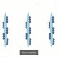 IDENEL Liquid Microneedling at Hush Boutique Spa – Needle-Free Skin Rejuvenation