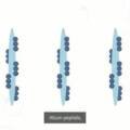 IDENEL Liquid Microneedling at Hush Boutique Spa – Needle-Free Skin Rejuvenation